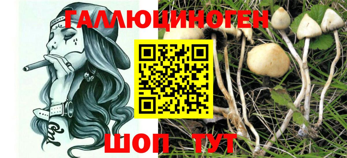 Галлюциногенные грибы MAGIC MUSHROOMS Владивосток