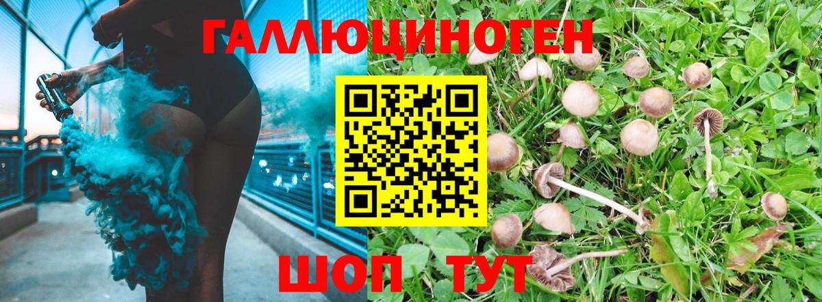 Галлюциногенные грибы прущие грибы  Вход с VPN  Владивосток 